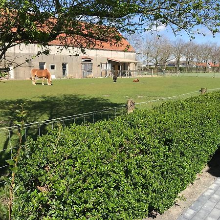 Vakantiewoningen De Schelp غينيسَّ المظهر الخارجي الصورة